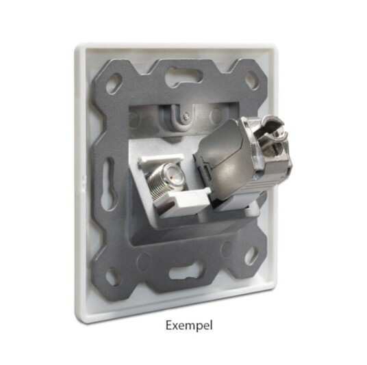 Delock 2 Port Keystone Vegguttak Cat6 Hvit Delock 2 Port Keystone Vegguttak Cat6 Hvit