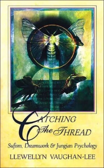 Catching The Thread Av Llewellyn (Llewellyn Vaughan-Lee ) Vaughan-Lee