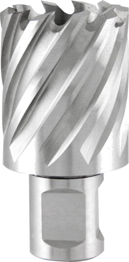 Ruko kjernebor HSS med Weldon skaft 38 mm 1 stk SOH-R108238 Sølv