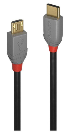 Lindy USB-C til Micro-USB B Kabel 2 m USB 2.0 Sort