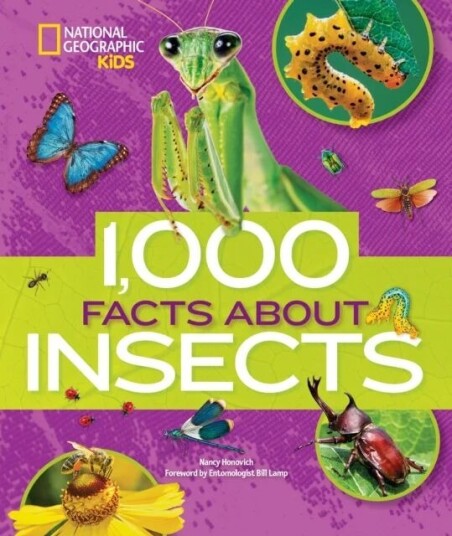 1000 Facts About Insects Av National Geographic Kids, Nancy Honovich