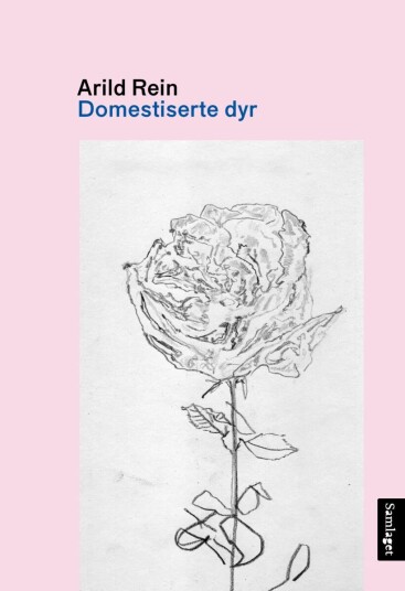 Domestiserte Dyr Av Arild Rein