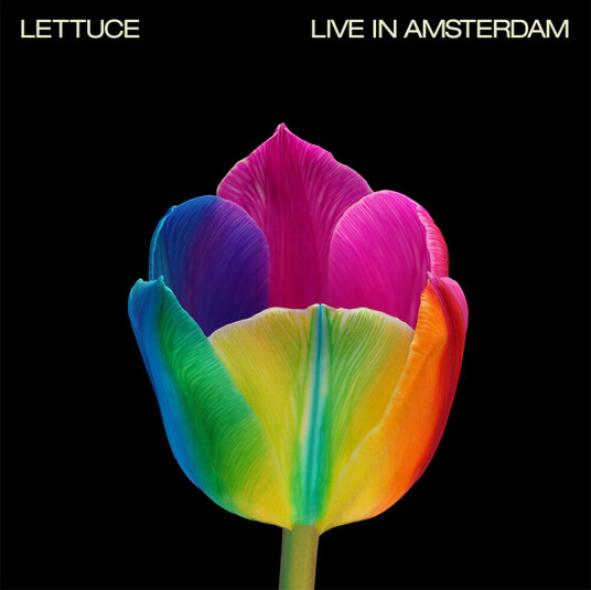 Live In Amsterdam Pink