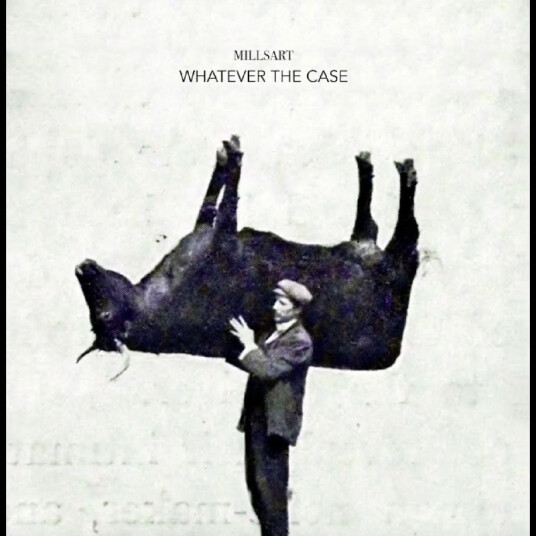 Whatever The Case