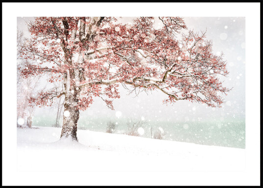 Snow at the lake Plakat Plakat / 40x50cm
