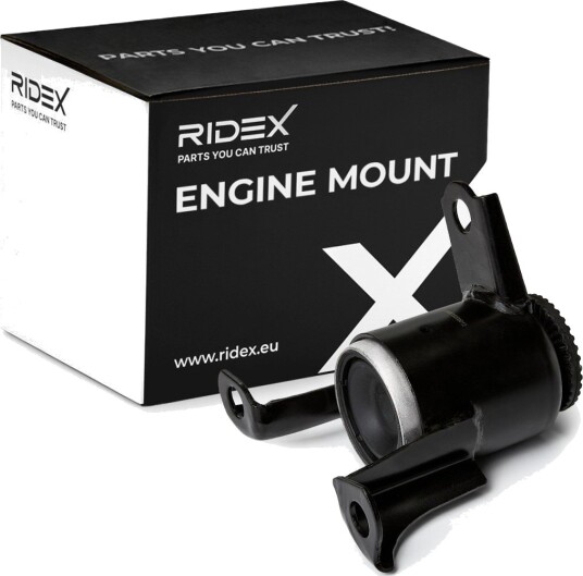 RIDEX 247E2198 Motorfeste