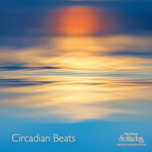 Circadian Beats Vinyl