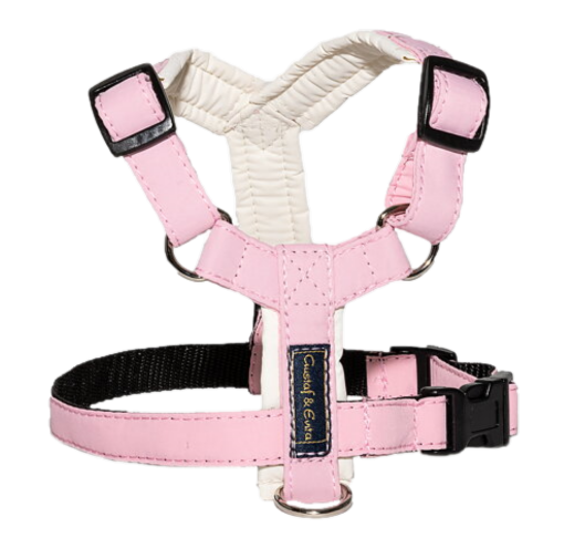 Hundsele Pro Grow Marzipan 1
