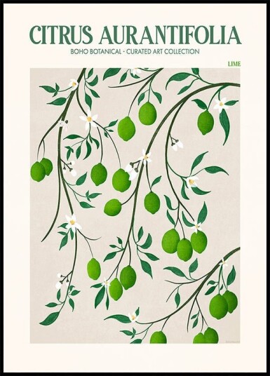 Botanical Lime Bliss Plakat Plakat / 30x40cm