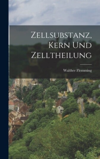 Zellsubstanz Kern Und Zelltheilung