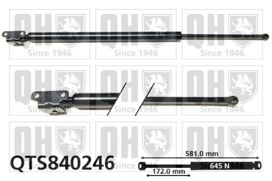 Baklukedemper QUINTON HAZELL QTS840246 Baklukedemper QUINTON HAZELL QTS840246