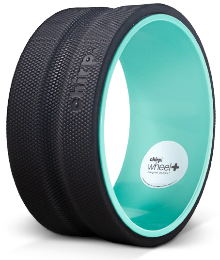 Chirp Wheel Plus 10" Chirp Wheel Plus 10"
