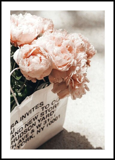 Package of Peonies Plakat Plakat / 21x30cm