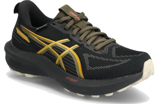 Asics Gt 1000 14 Gtx Black 40.5 Asics Gt 1000 14 Gtx Black 40.5