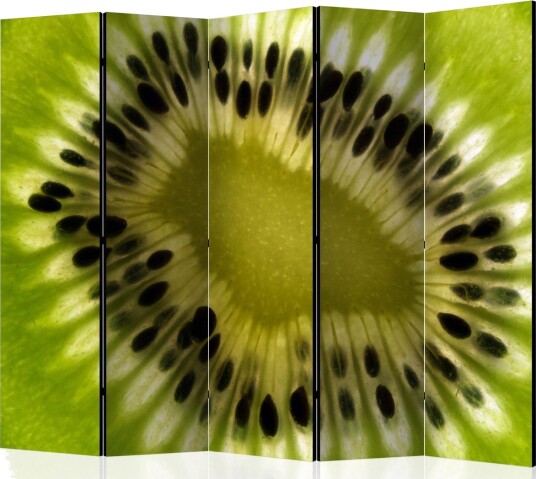 Romdeler - kiwi II 225x172 - Artgeist sp. z o. o.
