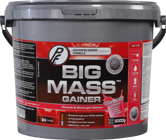 Proteinfabrikken Big Mass Gainer 3000g Jordbær