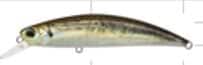 Duo Spearhead Ryuki 80s SW Real Aji Duo Spearhead Ryuki 80s SW Real Aji