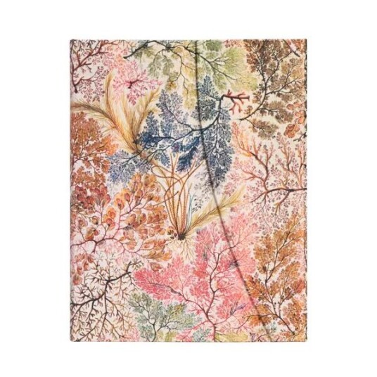 Paperblanks Notatbok Paperblanks Anemone ultra