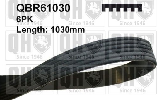 QUINTON HAZELL QBR61030 Multireim