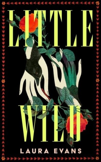 Little Wild Little Wild