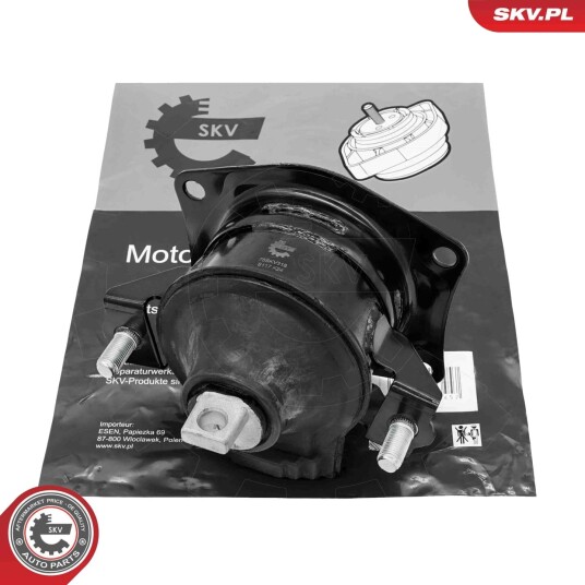 Motorfeste ESEN SKV 75SKV318