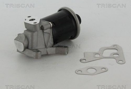 EGR ventil TRISCAN 8813 29100 EGR ventil TRISCAN 8813 29100
