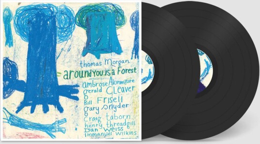 Thomas Morgan Around You Is A Forest Vinyl