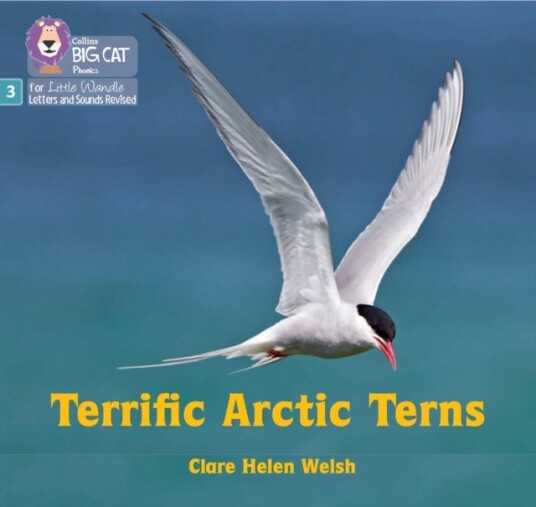 Terrific Arctic Terns  Phase 3 Set 2