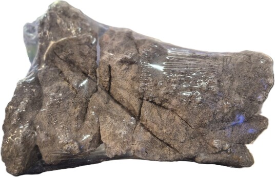 Aquatics Rohan Stone Akvariestein 10–20 cm 932603