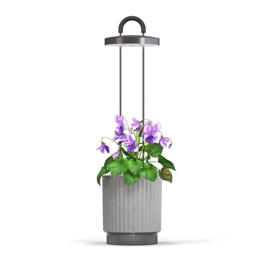 Click and Grow x HydroVase Grå Click and Grow x HydroVase Grå