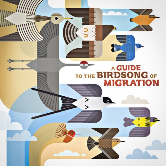 Diverse Artister A Guide To The Birdsong Of Migration Vinyl