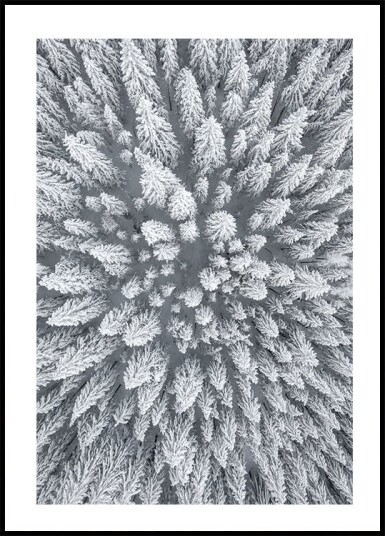 Snow Forest Aerial Plakat Plakat / 100x150cm