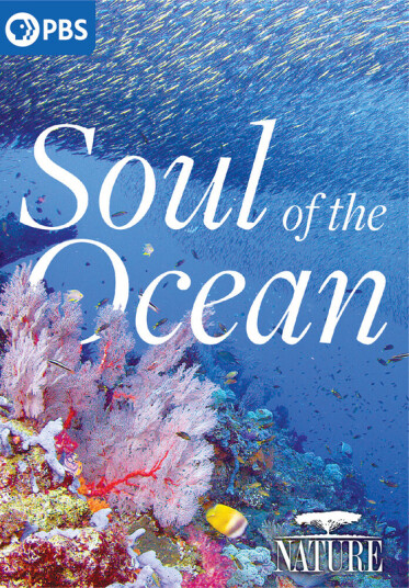 Nature: Soul Of The Ocean DVD