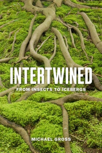 Intertwined From Insects to Icebergs