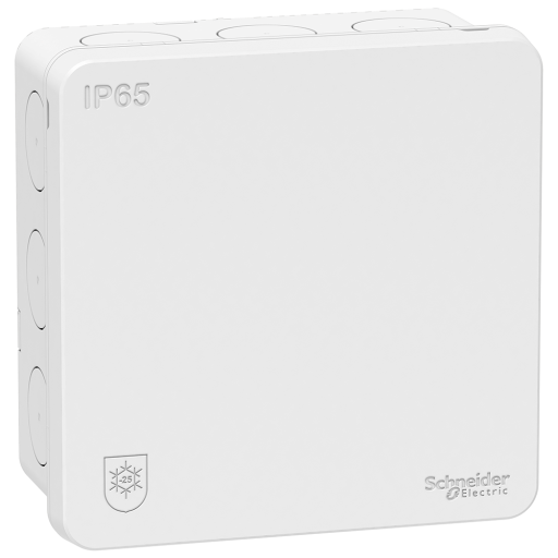 Schneider Electric IMT35334 Koblingsboks IP65, 2 K Hvit Schneider Electric IMT35334 Koblingsboks IP65, 2 K Hvit