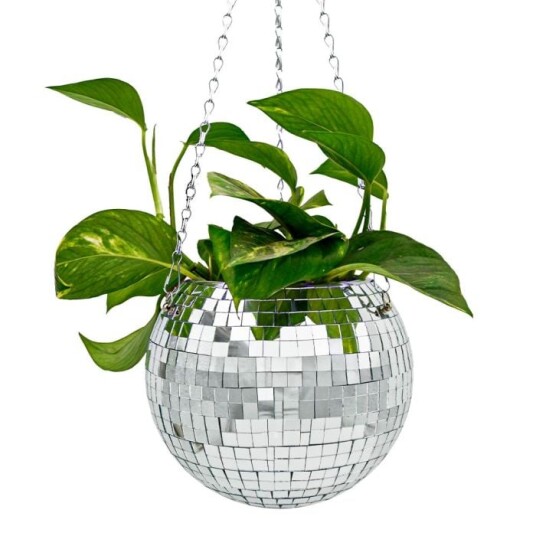 MikaMax FUNKY DISCO POTTEPLANTE MikaMax FUNKY DISCO POTTEPLANTE