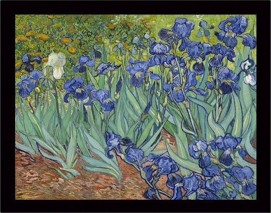 Innrammet lerretsbilde i tre 41x56 cm Fargerik samling av irisblomster Blå / Grønn / Brun