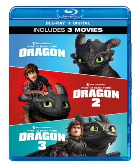 How To Train Your Dragon 13