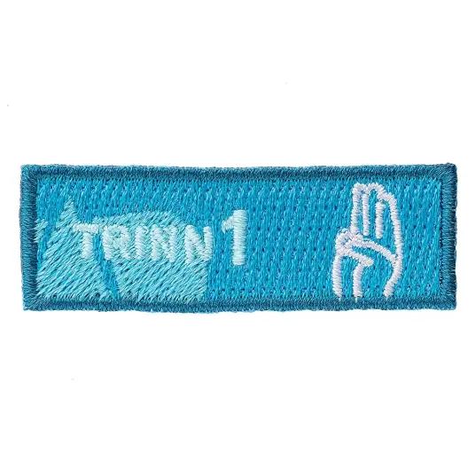 Trinn 1 NSF Trinn 1 Trinn 1 NSF Trinn 1