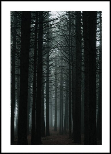 Dark Forest Plakat Plakat / 21x30cm