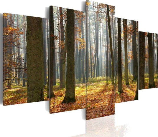 Bilde A Nice Forest Landscape 200x100 Artgeist sp. z o. o.