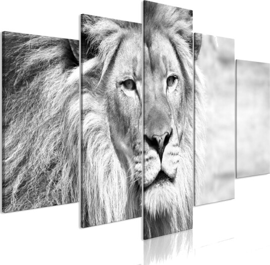 Bilde The King Of Beasts 5 Parts Wide B&W 100x50 Artgeist sp. z o. o.