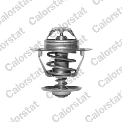 Termostat CALORSTAT by Vernet TH6293.82J