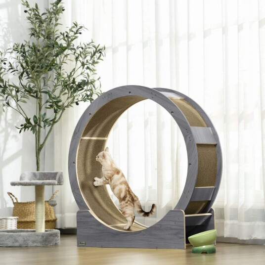 Cat Balance sykkel for katter 91 cm med brems skrapebrett kattehjul for sunn trening avslapning grå