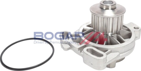 Vannpumpe BOGAP A4234212 Vannpumpe BOGAP A4234212