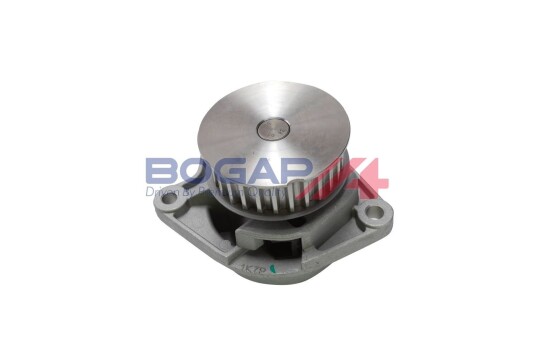 BOGAP A4234125 Vannpumpe BOGAP A4234125 Vannpumpe