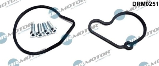 Reparatorsett undertrykkspumpe (bremseanlegg) DR.MOTOR AUTOMOTIVE DRM0251