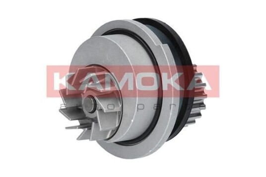 KAMOKA T0106 Vannpumpe