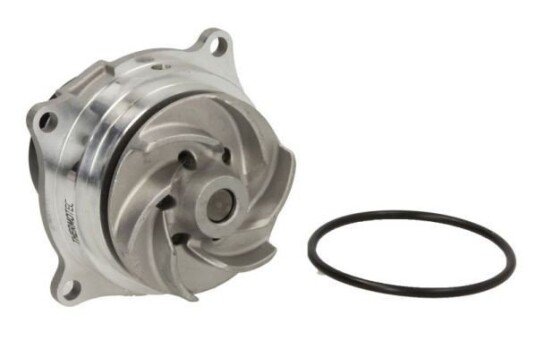 THERMOTEC D1G002TT Vannpumpe