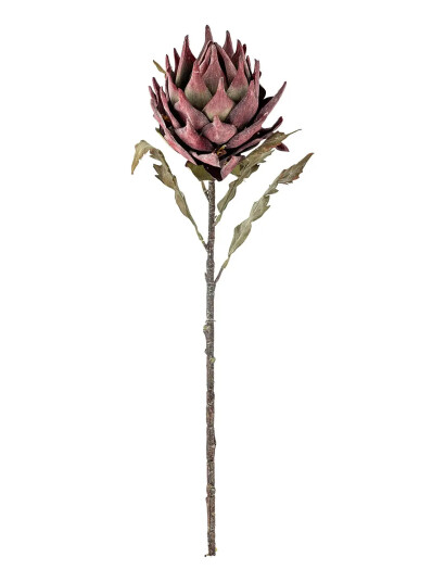 Bloomingville Protea Stem Pink H76CM Bloomingville Protea Stem Pink H76CM
